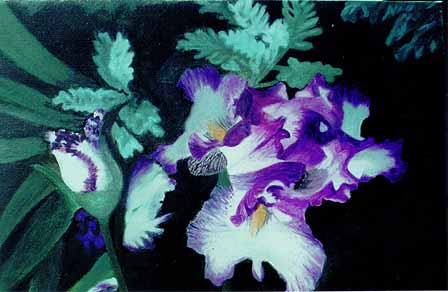 purple_iris.JPG (20432 bytes)